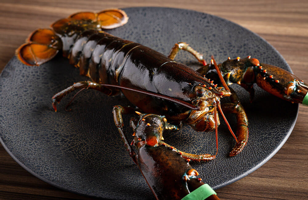 活オマール海老